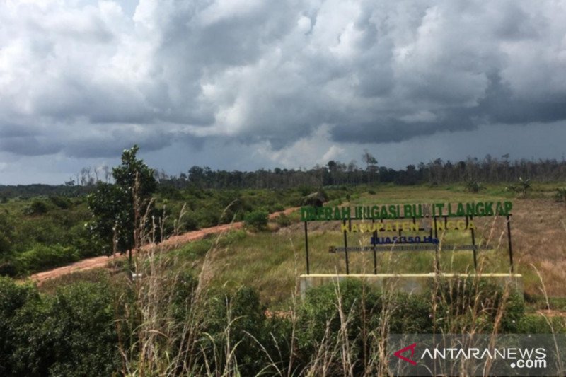Menelisik polemik sawah di Bunda Tanah Melayu (I)