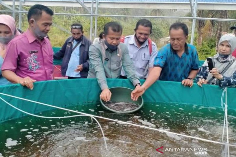 Two fish cultivator groups in Tanjungraya Agam received biofloc pond
