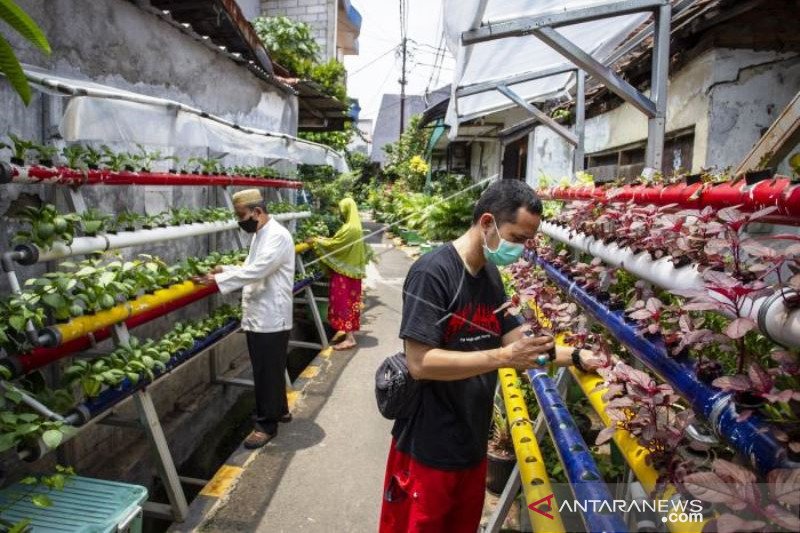 Kampung Sehat Utan Kayu Selatan