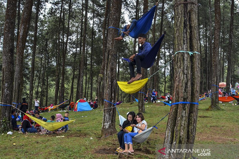 wisata hutan pinus jawa barat