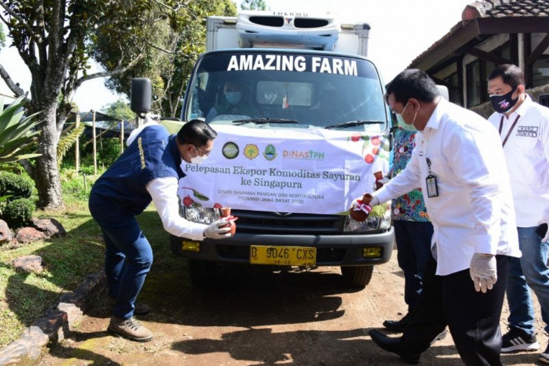 Gubernur Ridwan Kamil lepas ekspor produk sayuran Jawa Barat