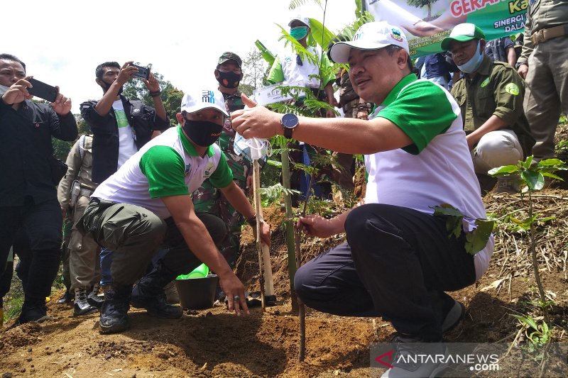 56 ribu hektare hutan di Garut dalam kondisi kritis