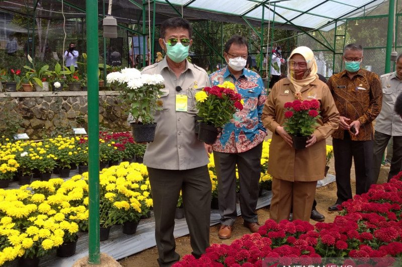 Menteri Pertanian dorong Balithi Segunung-Cianjur terus berinovasi