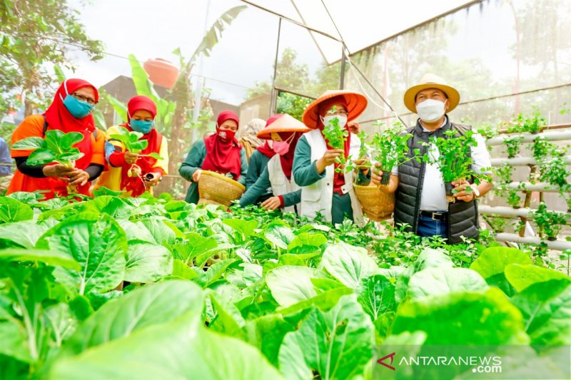 Pemkot Bandung dorong warga 'urban farming' antisipasi kerentanan pangan