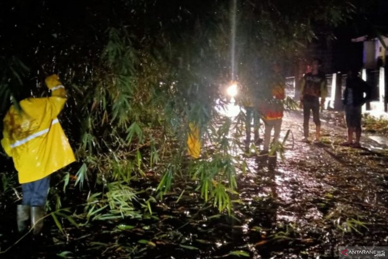 Jalur utama selatan Cianjur kembali terputus akibat pohon tumbang