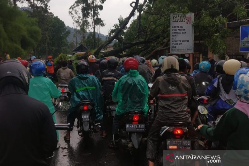 BPBD Kabupaten Cianjur tuntaskan penanganan bencana alam di sejumlah wilayah