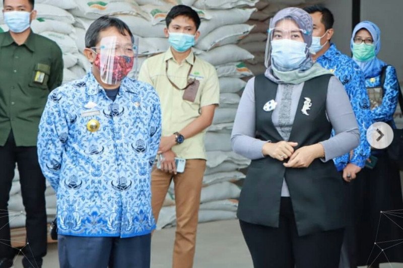 Nunik pantau ketersediaan pupuk di Lampung Timur