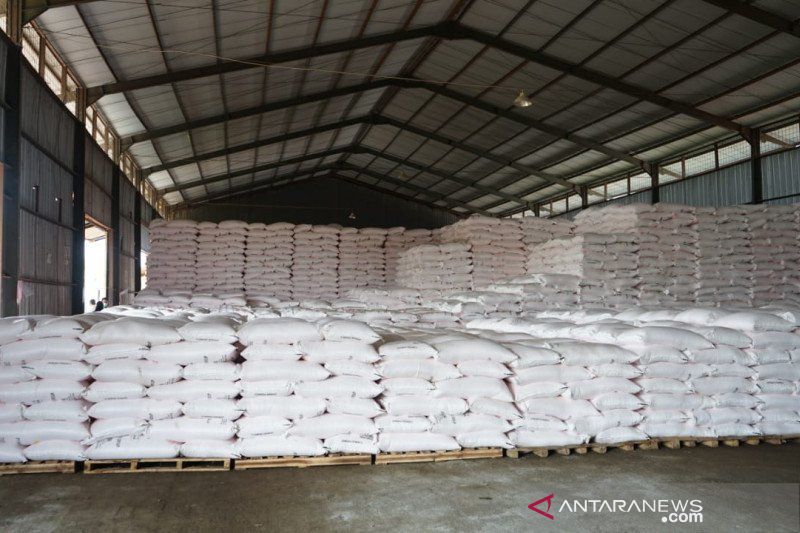 Parimo dapat jatah 3.250 ton pupuk kakao dari perusahaan mitra