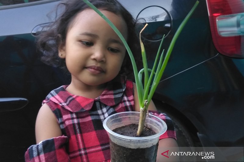 Garut canangkan gerakan ketahanan pangan keluarga