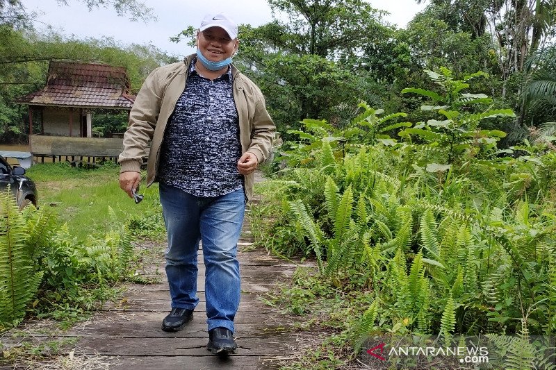Pembangunan pabrik jadi solusi perkebunan sawit rakyat, kata Halikinnor