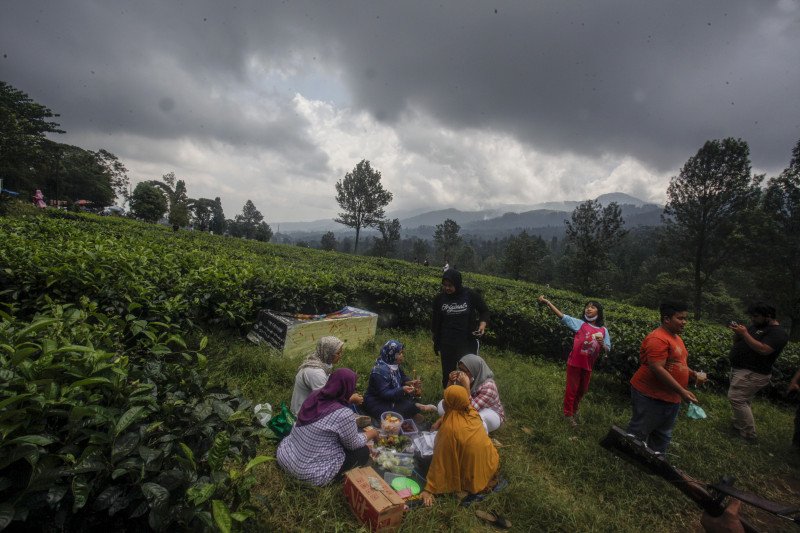 Mengangkat lagi tradisi minum teh