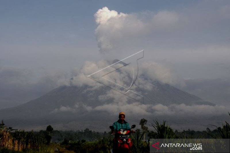 Aktivitas Gunung Semeru