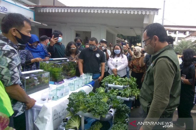 Wali Kota Bogor dukung warga kreatif kembangkan urban farming