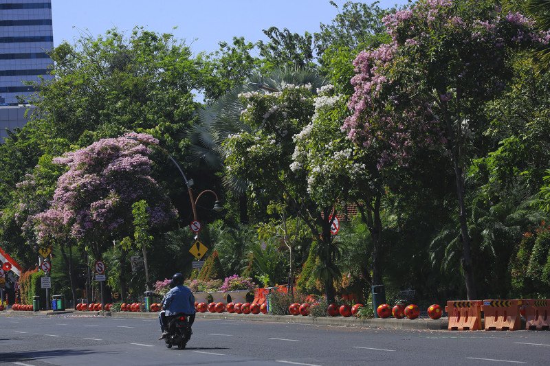 Ruang terbuka hijau di Surabaya capai 21,99 persen - Vimarsana News