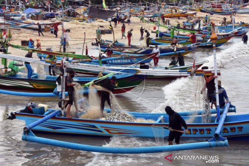 Nelayan Panen Ikan Saat Cuaca Ekstrem