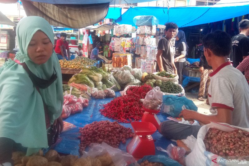 Harga cabai merah di Dharmasraya tembus Rp60.000 perkilogram