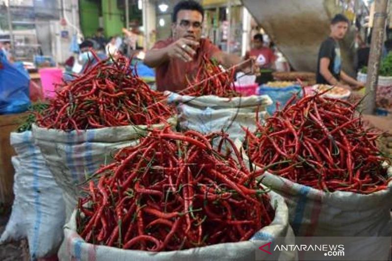 Cabai Merah Naik Jelang Natal Dan Tahun Baru