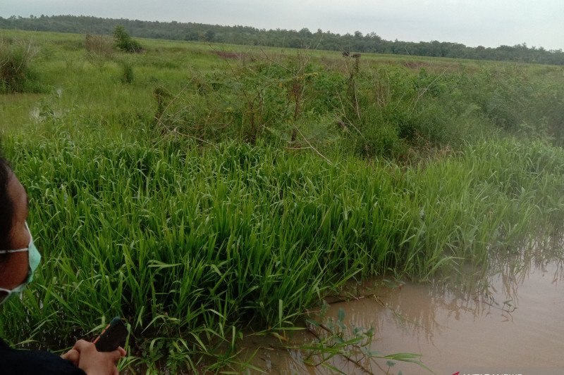 Semua objek wisata di Kabupaten Lampung Timur tutup saat Lebaran