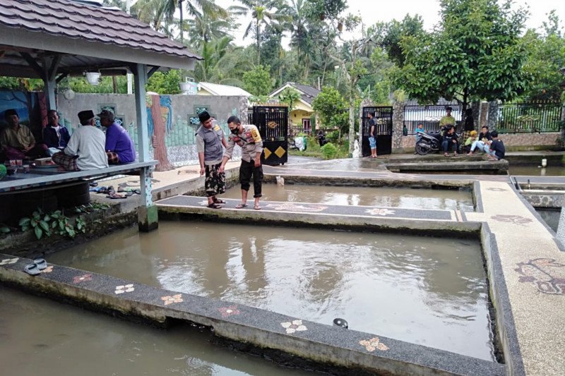 Bocah 1 Tahun Di Montong Gading Lotim Tewas Tenggelam Di Kolam Ikan Antara News Mataram Berita Ntb Terkini