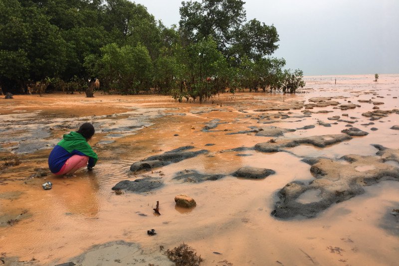 Pantai Tanjung Bembam tertutup lumpur usai banjir