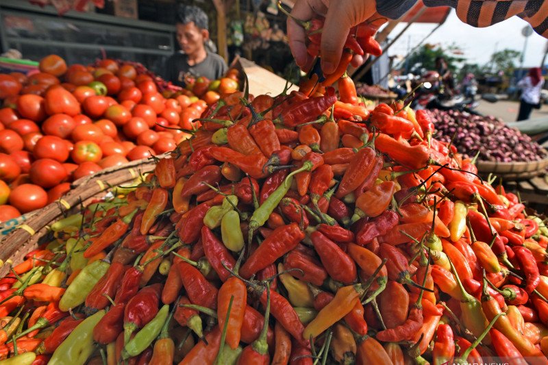 Flood causes chili price to soar