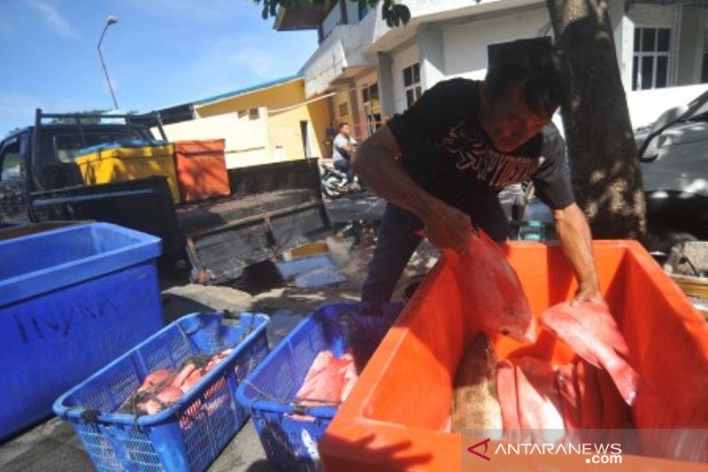 Produksi Perikanan Tangkapan Nelayan Di Padang Turun Di Masa Pandemi