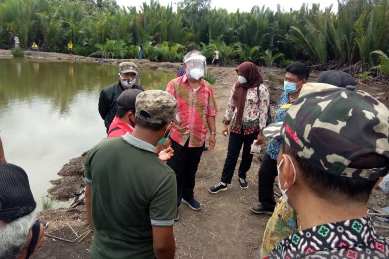Pemkab Buol dorong petani gunakan metode mina padi olah lahan