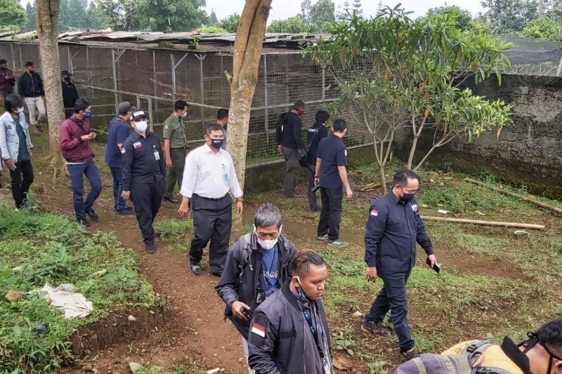 Polri sita 184 satwa dilindungi dari penangkaran di Sukabumi