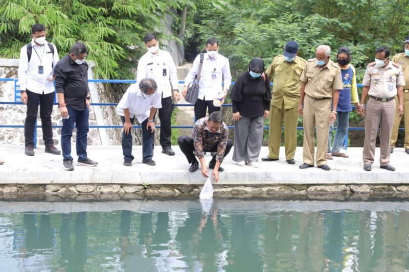 Menteri Kelautan dan Perikanan tebar benih ikan di Embung Gadingan Sleman