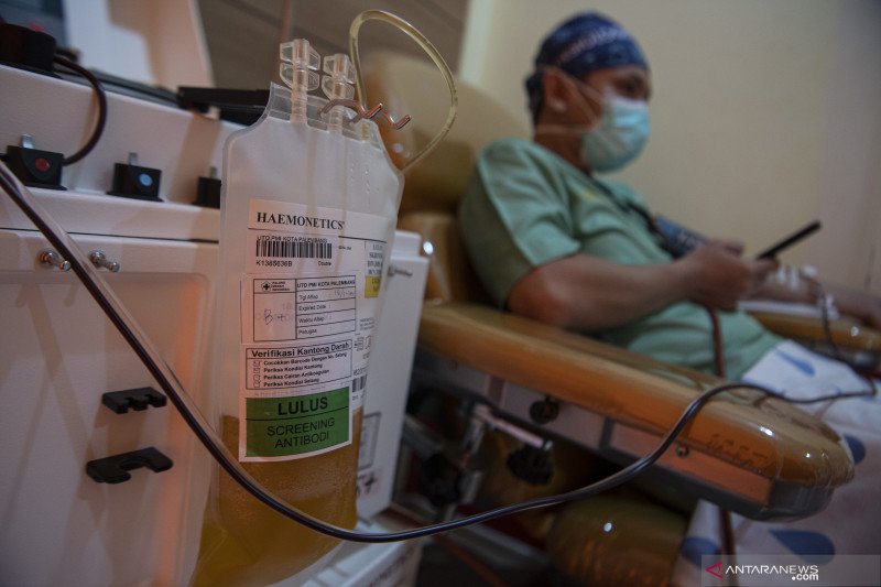 Donor Plasma Konvalesen di PMI Palembang