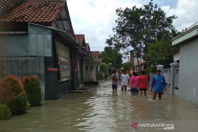 Banjir masih menggenangi permukiman warga Cirebon