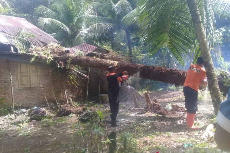Tertimpa pohon, rumah warga Agam rusak