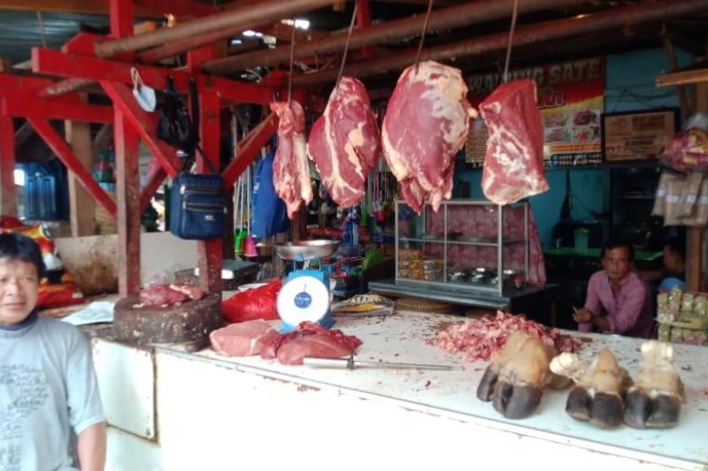 Kemarin, stok daging sapi-kerbau sampai vaksinasi COVID-19