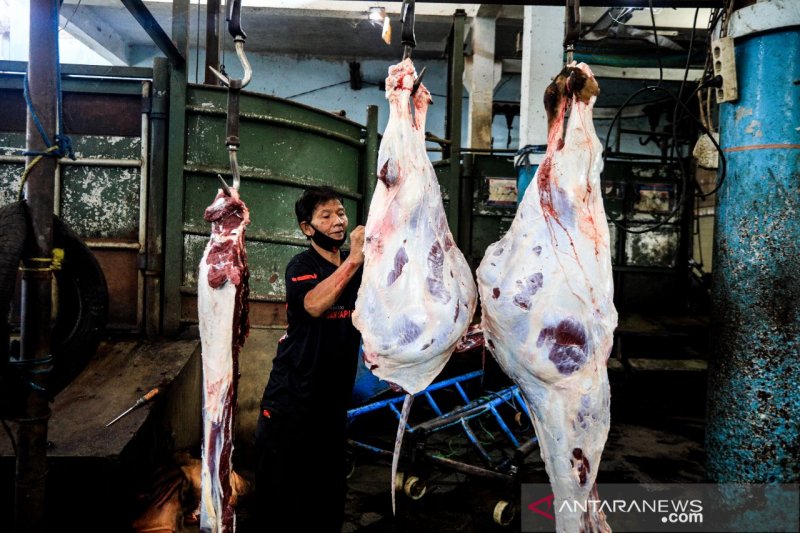 Dispangtan Bandung catat pemotongan sapi di RPH turun