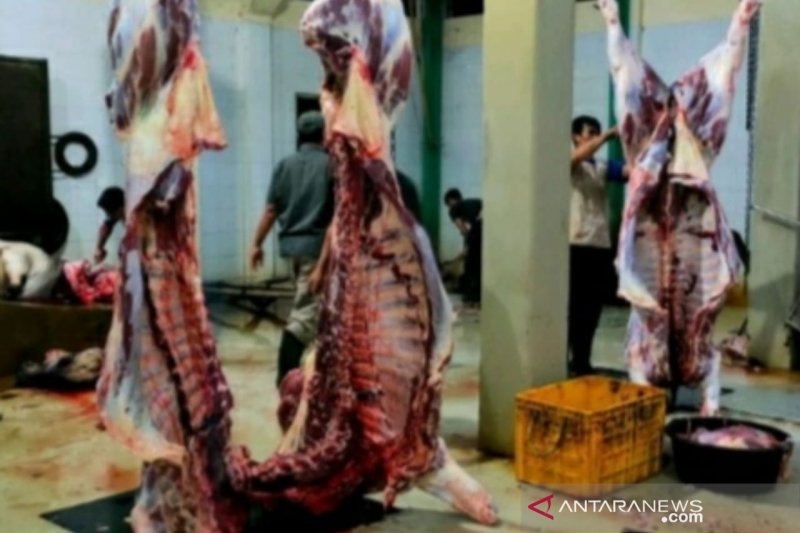 Kenaikan harga daging tidak pengaruhi aktivitas RPH Kabupaten Bandung