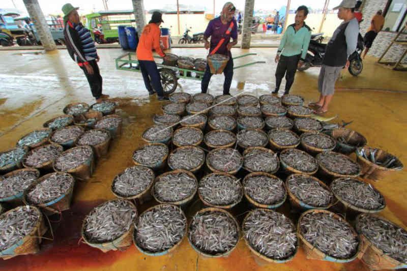 Harga ikan di Indramayu kembali naik