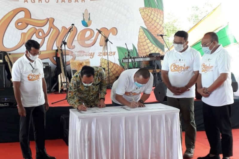 BUMD Agro Jabar kembangkan bisnis daging sapi dan budidaya udang