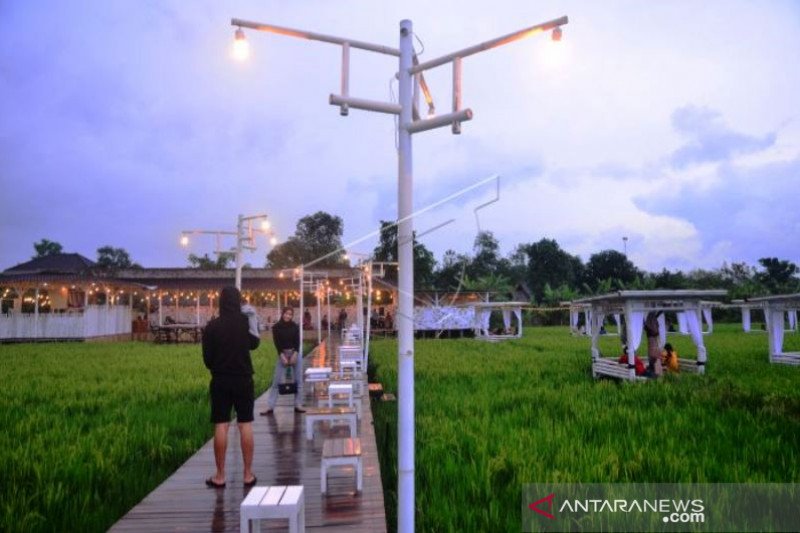 Restoran Berkonsep Alam Terbuka