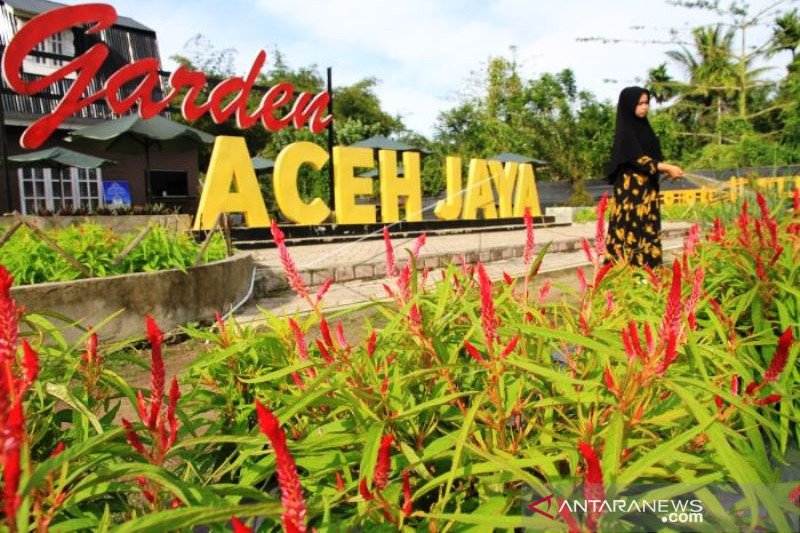 Perawatan Taman Bunga Di Aceh Jaya