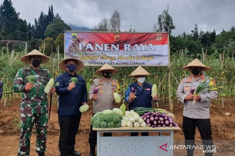 Seluruh kecamatan di Cianjur didorong kembangkan hasil pertanian