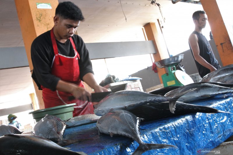 PRODUKSI MELIMPAH HARGA IKAN TURUN