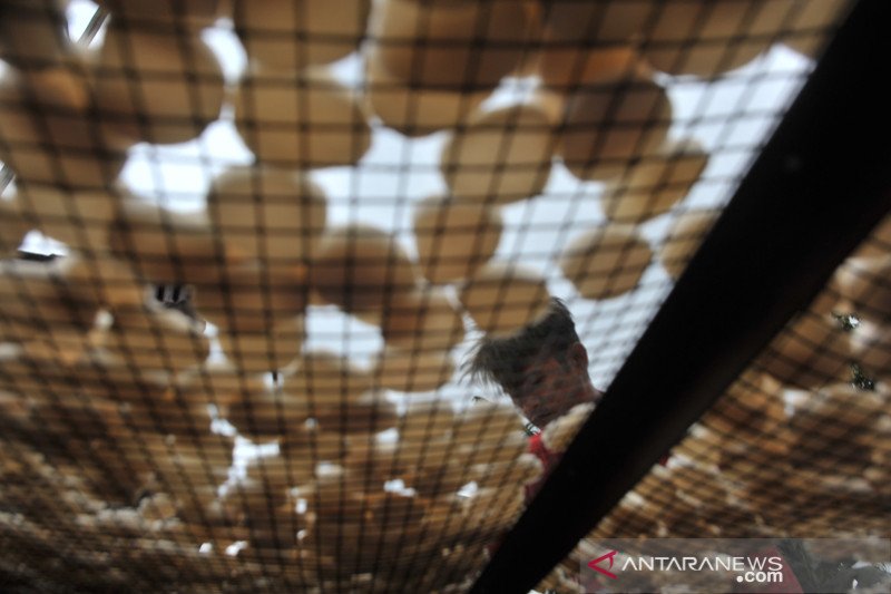 Produksi kerupuk kemplang menurun akibat musim hujan