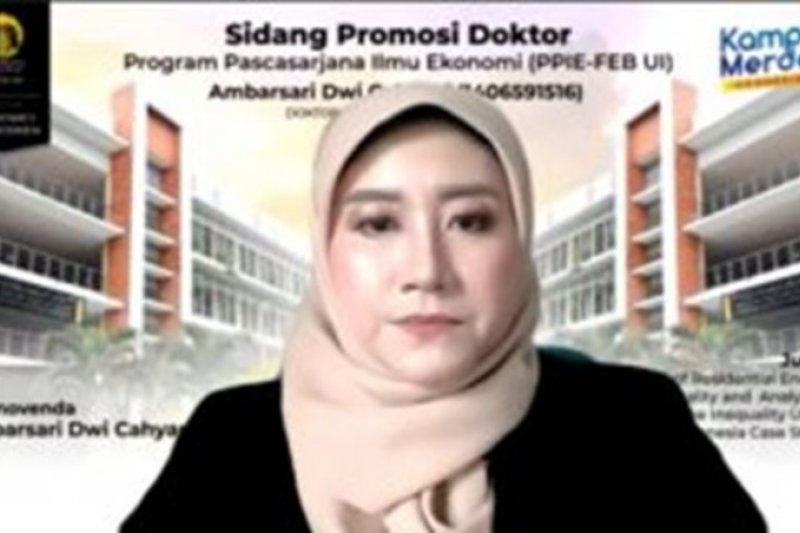 Doktor FEB-UI lakukan penelitian faktor yang pengaruhi ketimpangan distribusi energi