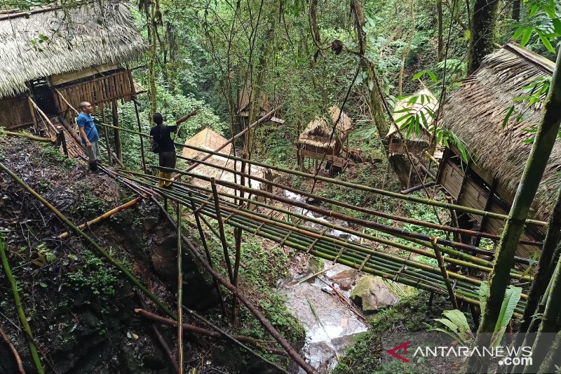 Objek wisata rumah Pohon Donggala