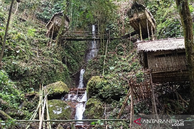 Objek wisata rumah Pohon Donggala