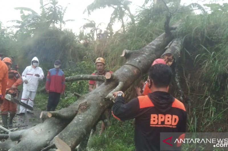 BPBD Kota Bogor tangani sembilan bencana dalam dua hari