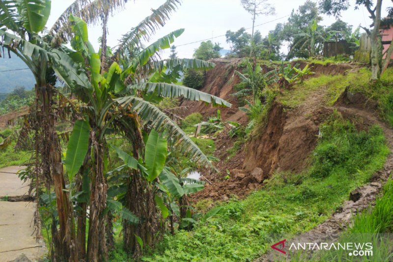 Ratusan KK di Cipanas-Cianjur terisolir karena jalan amblas