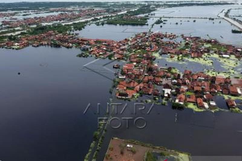 Kabupaten Pekalongan Masih Tergenang Banjir