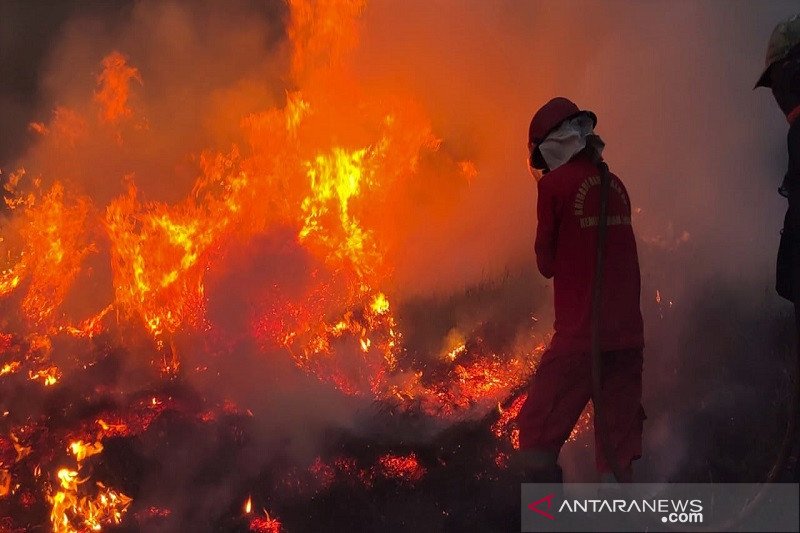 KARHUTLA DI TAMAN NASIONAL DI KABUPATEN BOMBANA