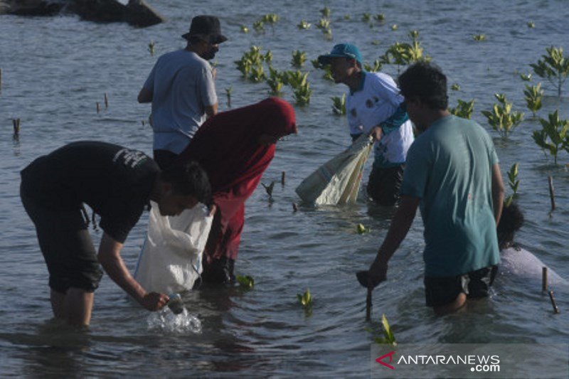 Aksi bersih sampah di Pantai Palu